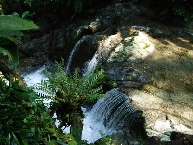 五指山泉水 五指山泉水