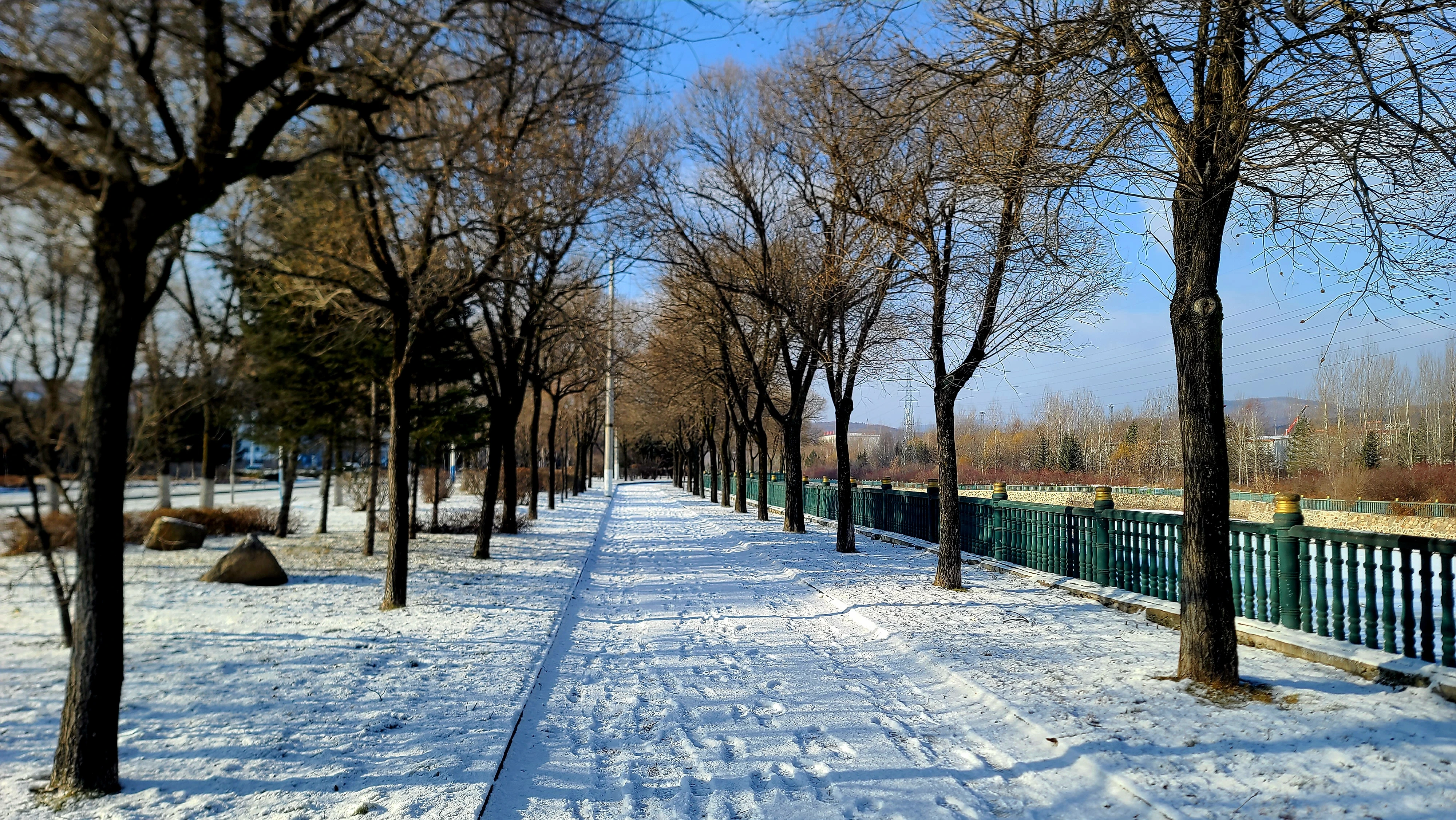 雪中漫步