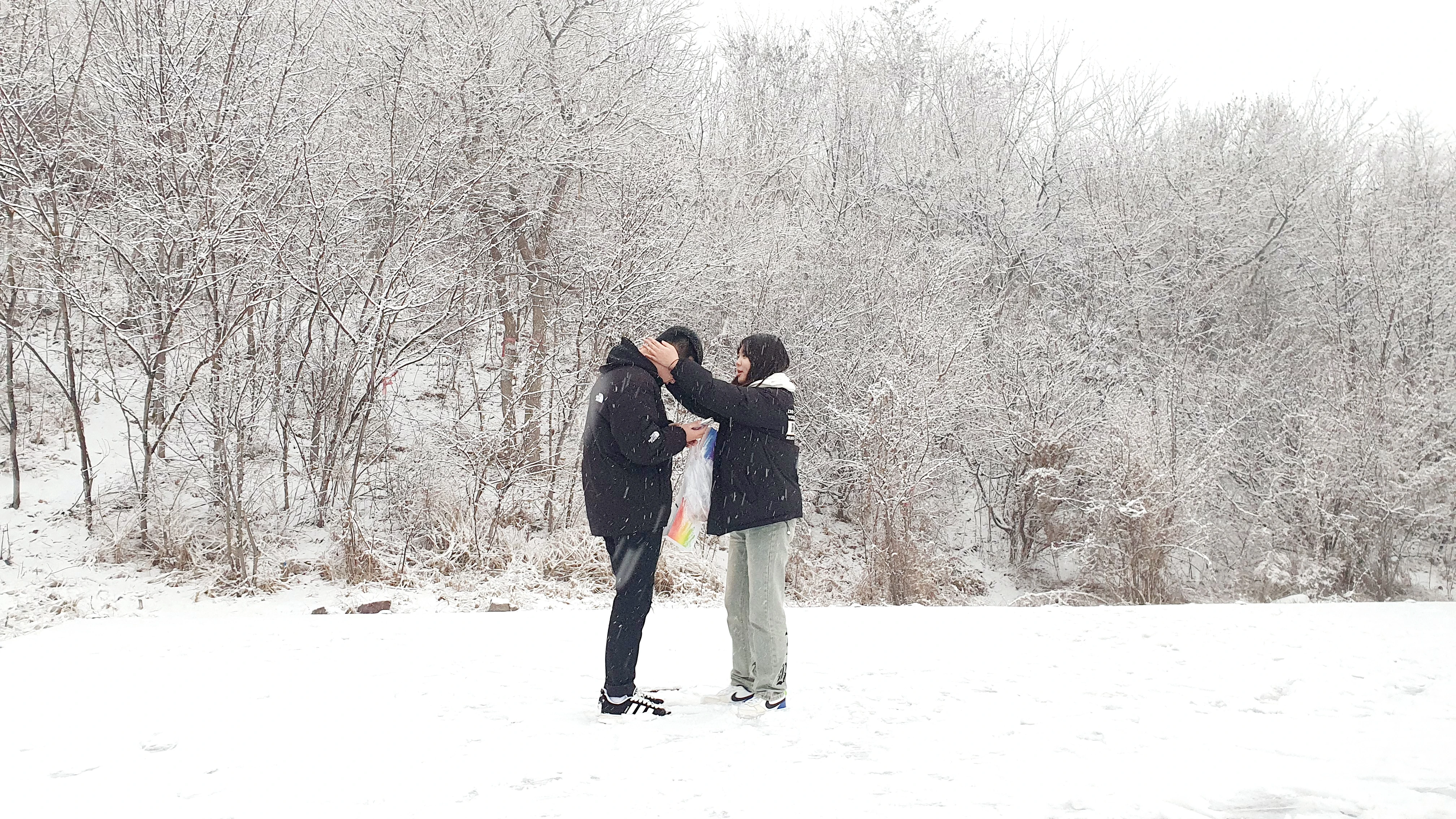 踏雪寻梅
