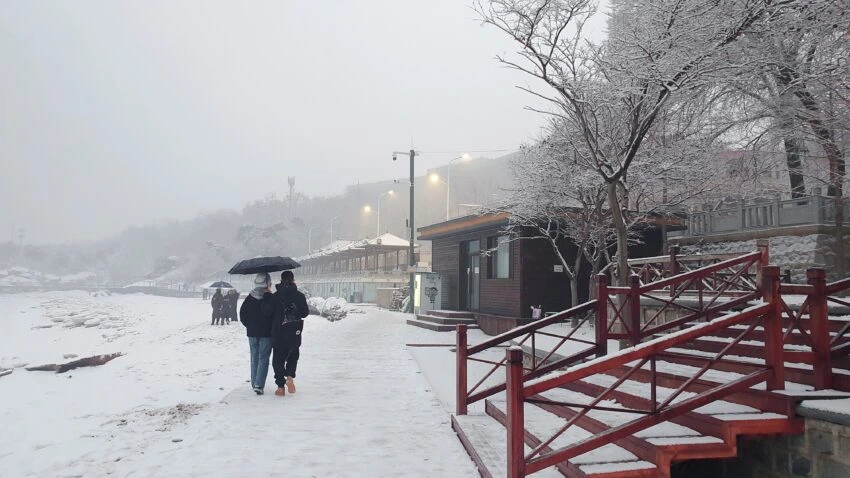 雪中即景