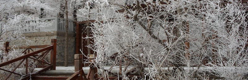 春雪 春雪