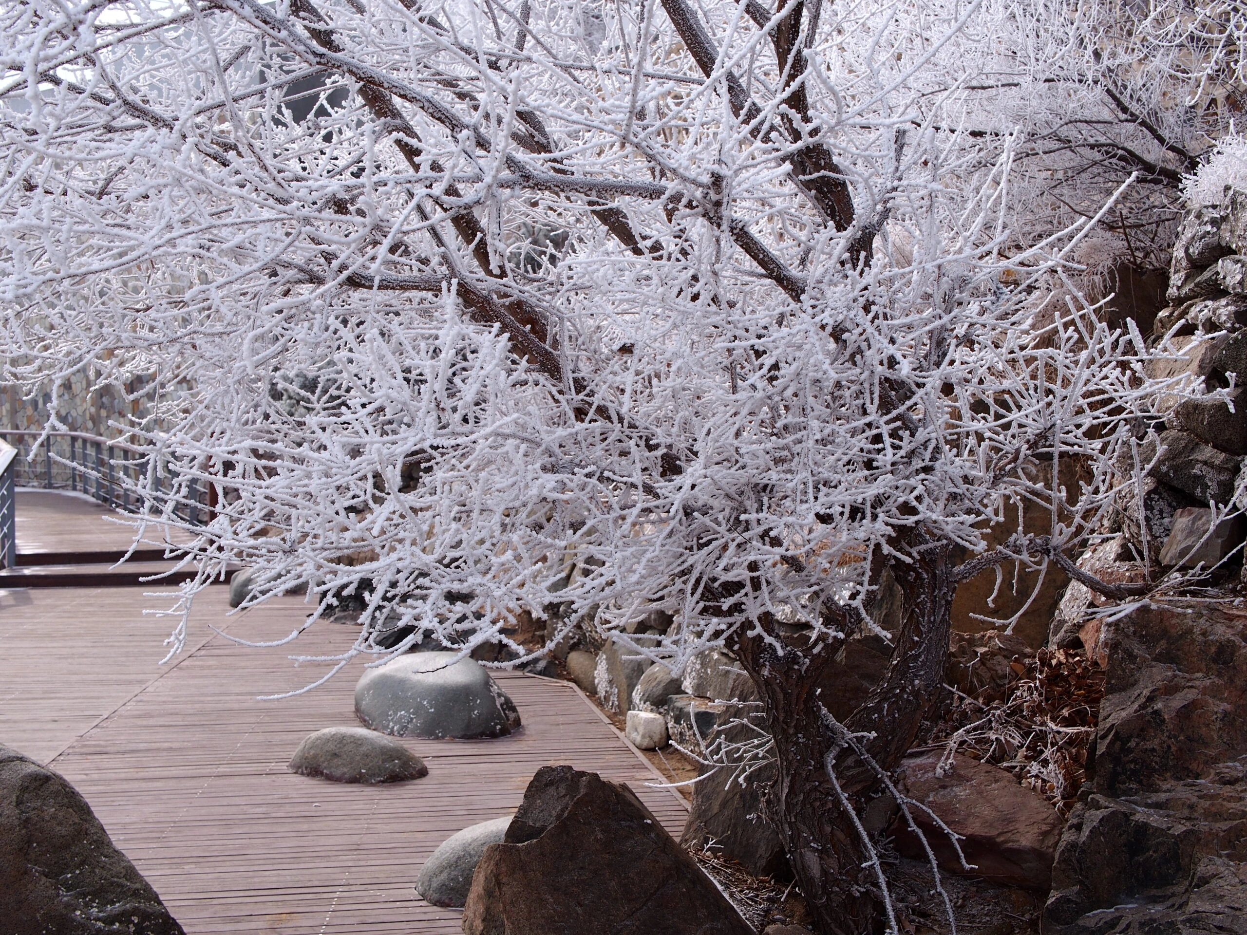 山居雪景