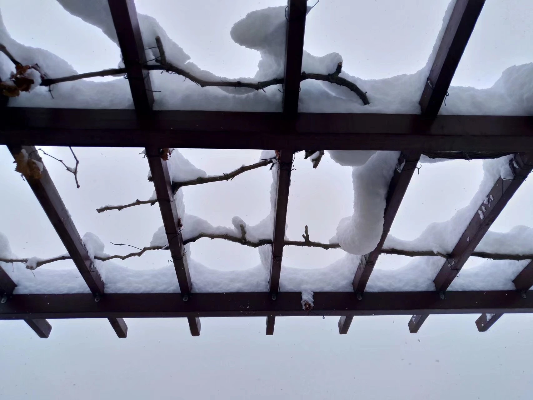平安夜大雪 平安夜大雪